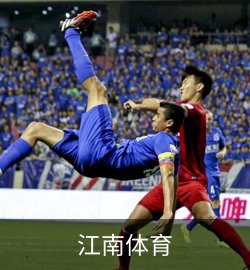 成功案例